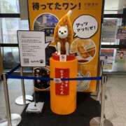 ヒメ日記 2025/07/24 13:58 投稿 みさと club Ego