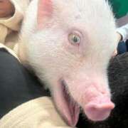 ヒメ日記 2025/03/02 15:29 投稿 りょう マリン土浦本店