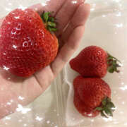 ヒメ日記 2025/03/01 08:25 投稿 小島さら クラリスDAO