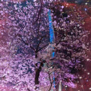 ヒメ日記 2025/04/04 20:52 投稿 小島さら クラリスDAO