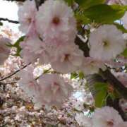 ヒメ日記 2024/12/13 16:40 投稿 由良 鶯谷人妻城