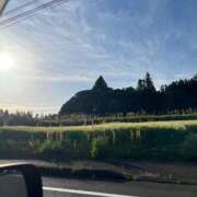 ヒメ日記 2025/04/24 17:55 投稿 かぐら 宮崎ちゃんこ都城店