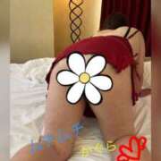 ヒメ日記 2025/05/15 22:25 投稿 かぐら 宮崎ちゃんこ都城店