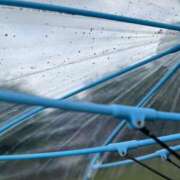 ヒメ日記 2025/05/18 10:56 投稿 かぐら 宮崎ちゃんこ都城店