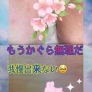 ヒメ日記 2025/05/18 17:05 投稿 かぐら 宮崎ちゃんこ都城店