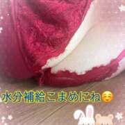 ヒメ日記 2025/07/01 11:55 投稿 かぐら 宮崎ちゃんこ都城店