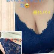 ヒメ日記 2025/11/04 16:45 投稿 かぐら 宮崎ちゃんこ都城店