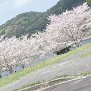 ヒメ日記 2026/04/05 12:15 投稿 かぐら 宮崎ちゃんこ都城店