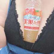 ヒメ日記 2026/08/04 06:39 投稿 かぐら 宮崎ちゃんこ都城店