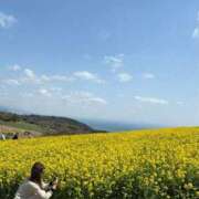 ヒメ日記 2025/04/05 18:27 投稿 藍菜/Aina☆刺激的Ｇカップ♪ ジュリエット