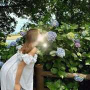 ヒメ日記 2025/05/29 12:42 投稿 藍菜/Aina☆刺激的Ｇカップ♪ ジュリエット