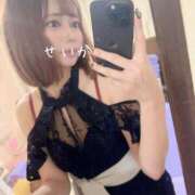 ヒメ日記 2025/04/11 04:46 投稿 せいか 吉原ファーストレディ