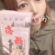 ヒメ日記 2025/04/12 15:51 投稿 せいか 吉原ファーストレディ