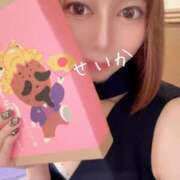 ヒメ日記 2025/04/17 12:26 投稿 せいか 吉原ファーストレディ