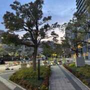 ヒメ日記 2025/04/21 23:16 投稿 せいか 吉原ファーストレディ