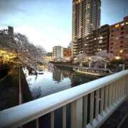 ヒメ日記 2025/04/28 21:36 投稿 せいか 吉原ファーストレディ