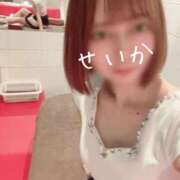 ヒメ日記 2025/05/12 12:26 投稿 せいか 吉原ファーストレディ