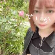 ヒメ日記 2025/05/15 12:26 投稿 せいか 吉原ファーストレディ