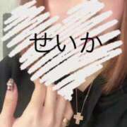 せいか お休み中♡ 吉原ファーストレディ