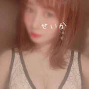 せいか 🤍お礼写メ日記🤍 吉原ファーストレディ