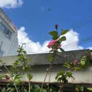 ヒメ日記 2025/11/17 01:38 投稿 ゆに 上野ハイブリッドマッサージ