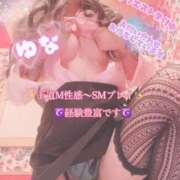 ヒメ日記 2025/04/05 00:42 投稿 王道M性感  ゆな選手 お願いマラどーな