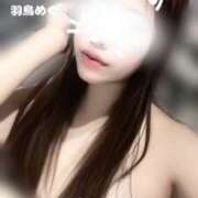 ヒメ日記 2025/01/20 10:25 投稿 羽鳥めぐ DEEPS成田店