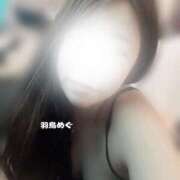 ヒメ日記 2025/05/10 09:55 投稿 羽鳥めぐ DEEPS成田店