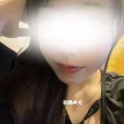 ヒメ日記 2025/05/10 13:35 投稿 羽鳥めぐ DEEPS成田店