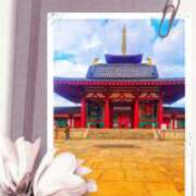 ヒメ日記 2025/02/19 13:28 投稿 まふゆ 神戸人妻花壇