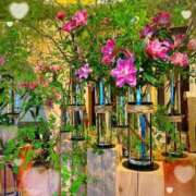 ヒメ日記 2025/05/10 20:35 投稿 宮下 りさ RANUNCULUS(ラナンキュラス)