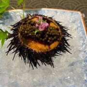 ヒメ日記 2025/08/09 13:45 投稿 宮下 りさ RANUNCULUS(ラナンキュラス)