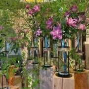 ヒメ日記 2025/09/03 11:15 投稿 宮下 りさ RANUNCULUS(ラナンキュラス)