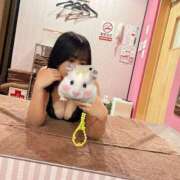 ヒメ日記 2025/05/10 17:22 投稿 ミク 1ROUND