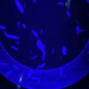 ヒメ日記 2025/02/01 20:36 投稿 桜井 愛妻倶楽部 宇都宮店