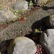 ヒメ日記 2025/04/08 10:46 投稿 桜井 愛妻倶楽部 宇都宮店