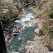 ヒメ日記 2025/04/17 14:04 投稿 桜井 愛妻倶楽部 宇都宮店