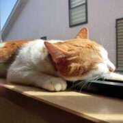 ヒメ日記 2025/05/08 09:22 投稿 桜井 愛妻倶楽部 宇都宮店