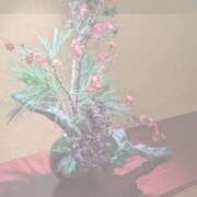 ヒメ日記 2025/04/26 00:20 投稿 みひろ 風俗の神様　浜松店