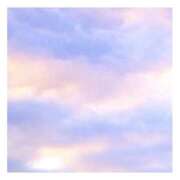 ヒメ日記 2025/11/29 19:20 投稿 みひろ 風俗の神様　浜松店