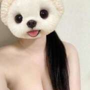 ヒメ日記 2025/01/17 15:55 投稿 すみれ 吉祥寺大人めシンデレラ（シンデレラグループ）