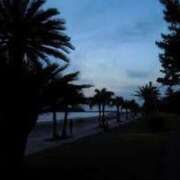 ヒメ日記 2025/04/07 08:09 投稿 なな 熊本ちゃんこ　八代店