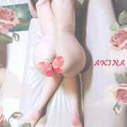 ヒメ日記 2025/11/23 11:40 投稿 あきな 熟女家 ミナミエリア店