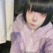 ヒメ日記 2025/02/02 15:52 投稿 みはる ベイビーモコ