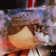 ヒメ日記 2025/02/22 23:32 投稿 みはる ベイビーモコ