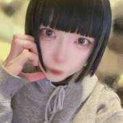 ヒメ日記 2025/02/23 17:23 投稿 みはる ベイビーモコ