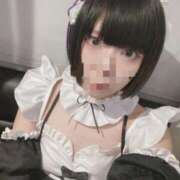 ヒメ日記 2025/03/13 12:32 投稿 みはる ベイビーモコ