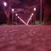 ヒメ日記 2025/04/06 20:51 投稿 かずみ 熟女の風俗最終章 宇都宮店