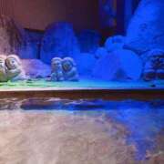 ヒメ日記 2025/06/01 19:41 投稿 かずみ 熟女の風俗最終章 宇都宮店