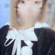 ヒメ日記 2025/02/14 10:52 投稿 なつき 渋谷じゃっくす